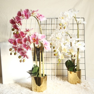 【AG】1Pc Faux Orchid Plant Natural Realistic Household Products Orchid Artificial Plants  Decoration for Stores