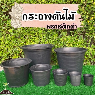 ภาพหน้าปกสินค้า(พร้อมส่ง) กระถางพลาสติก ดำ กลม กระถางกระบองเพชร กระถางแคตตัส กระถางต้นไม้ กระถางดำ 2นิ้ว 3นิ้ว 4นิ้ว 5นิ้ว 6นิ้ว 8นิ้ว ที่เกี่ยวข้อง