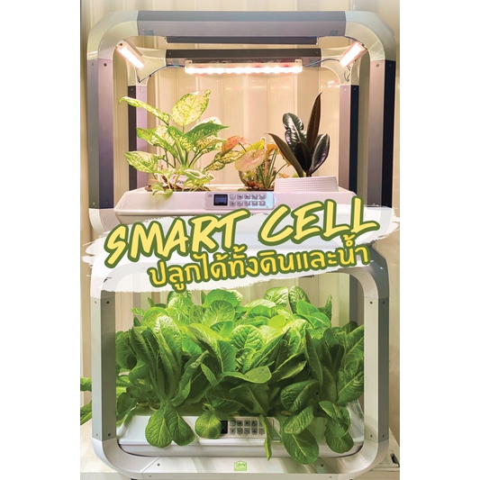 smart-cell-เครื่องปลูกผักอัตโนมัติภายในอาคาร-เครื่องปลูกพืช-เฟอร์นิเจอร์ปลูกพืช