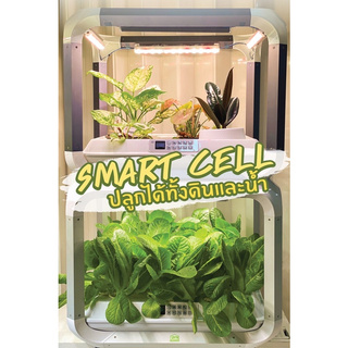 Smart Cell เครื่องปลูกผักอัตโนมัติภายในอาคาร เครื่องปลูกพืช เฟอร์นิเจอร์ปลูกพืช