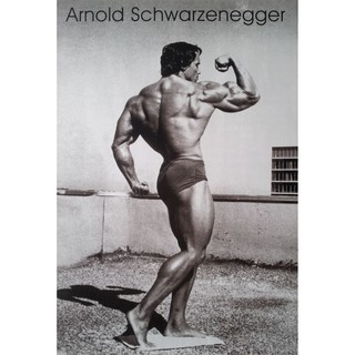 โปสเตอร์ รูปถ่าย ดารา หนัง เพาะกาย อาร์โนลด์ Arnold Schwarzenegger POSTER 21”x30” Inch American Bodybuilder Muscle V1