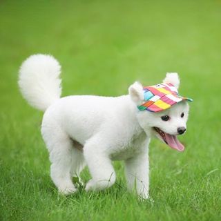 ขายดี หมวกผ้าแคนวาส ขนาดเล็ก กลาง ใหญ่ สีสันสดใส แฟชั่น สําหรับสัตว์เลี้ยง สุนัข