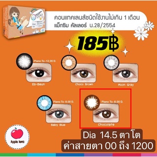 MAXIM Contact Lens  ตาโต สีน้ำตาล Chocolate  DIA 14.5 คอนแทคเลนส์สี (กล่องส้ม)