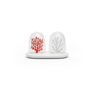 ECOTOPIA Qualy Coral Bleaching Salt And Pepper Shaker ที่ใส่เครื่องปรุง