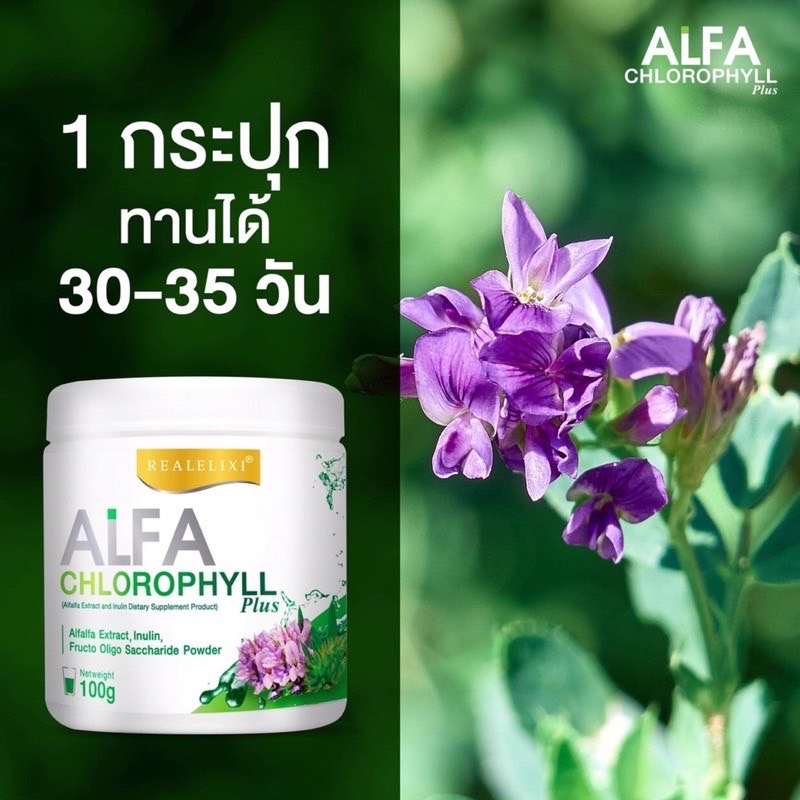 ภาพสินค้าอัลฟ่า คลอโรฟิลล์ พลัส Alfa Chlorophyl Plus By เรียลอิลิคเซอร์ จากร้าน airiiphu บน Shopee ภาพที่ 5