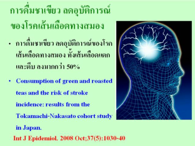 giffarine-egcg-กิฟฟารีน