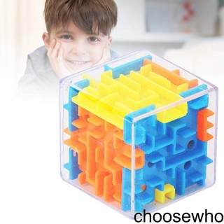 [CHOO] Six-sided Maze Transparent Cube Maze Educational Toys Portable Cubes Maze Toys for Kids