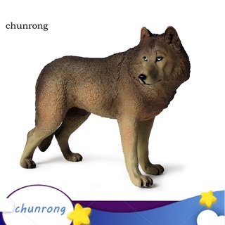 Chunrong โมเดลรูปปั้นหมาป่าจําลอง PVC ขนาด 20 ซม. ของเล่นเสริมการเรียนรู้เด็ก สําหรับตกแต่งบ้าน