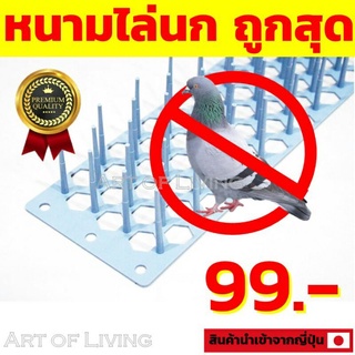 ชุด10ชิ้น  หนามนก  แปลงไล่นก หนามกันนก ชุด10ชิ้น