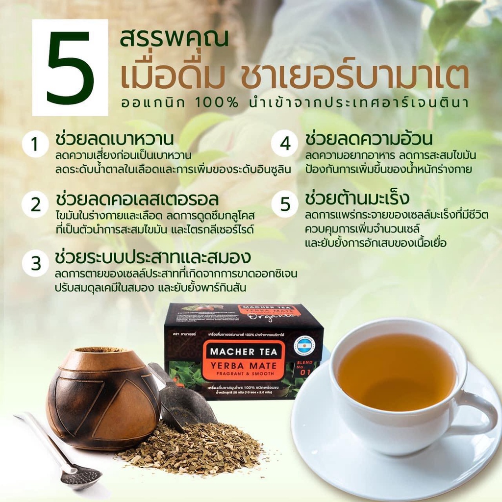 ส่งฟรี-โปรพิเศษ-4-แถม-2-ชามาเต-macher-tea-yerba-mate-machertea-ชามาเชอร์-มาเชอร์-เยอร์บามาเต