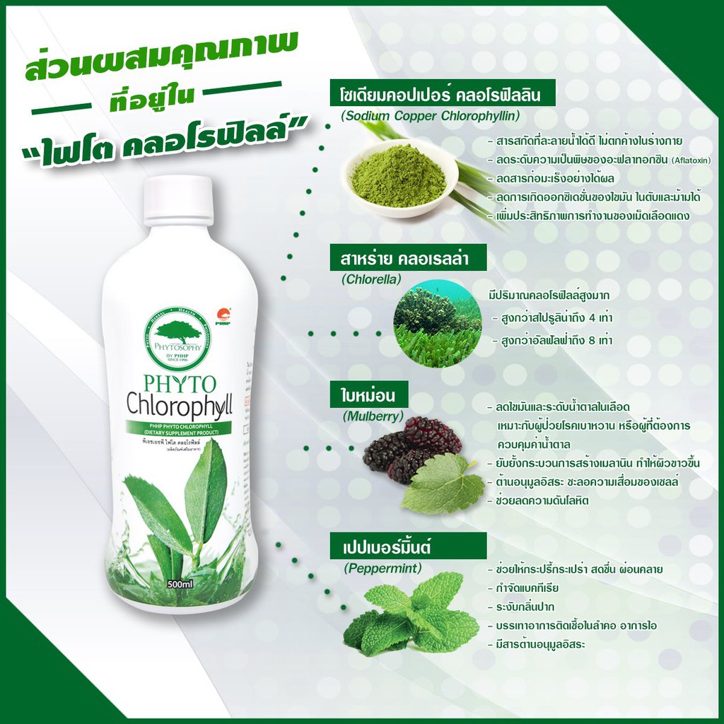 คลอโรฟิลล์-phyto-chlorophyll-ไฟโตคลอโรฟิลล์-phhp-แท้