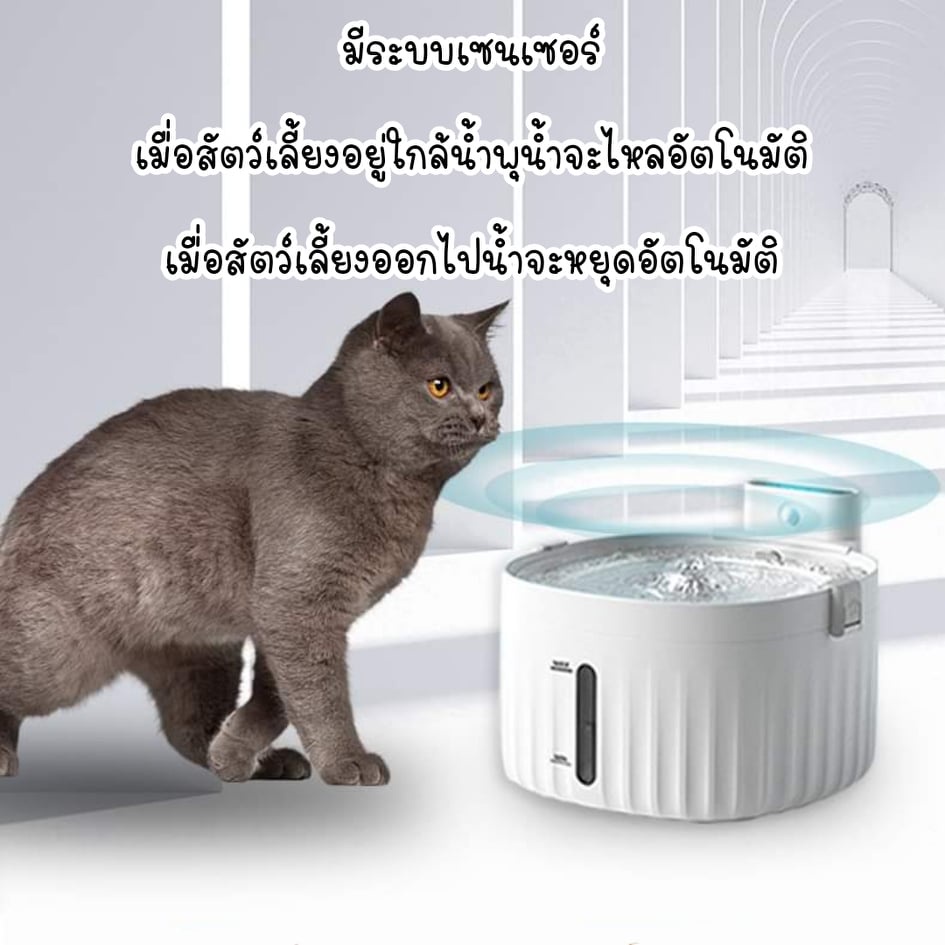 catholiday-น้ำพุ-meoof-มีเซนเซอร์-ระบบตัดไฟอัตโนมัติ-เสียบ-usb-ใส่ถ่านได้-น้ำพุแมว-น้ำพุสัตว์เลี้ยง