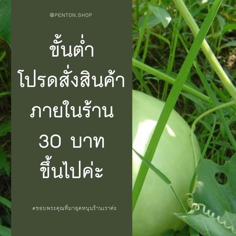 เมล็ดพันธุ์งอกดีราคาถูก-ขั้นต่ำโปรดสั่งสินค้าภายในร้าน30บาทขึ้นไปค่ะ