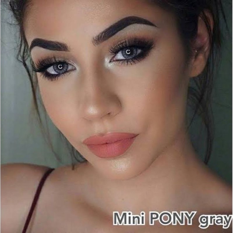 cutie-หรือ-pony-gray-และ-brown