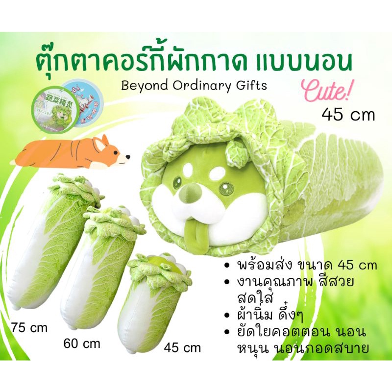 ตุ๊กตาคอร์กี้-ผักกาด-แบบนอน-พร้อมส่งในไทย-cabbage-corgi