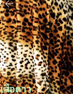 ภาพขนาดย่อของภาพหน้าปกสินค้าBhanpa ผ้าลายเสือ กำมะยี่ขนหนาเกรดAAA สวยที่สุด จากร้าน surawest บน Shopee