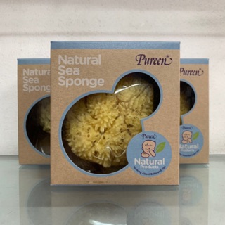 Pureen Natural Sea sponge ฟองน้ำธรรมชาติ Honeycomb ขนาด L