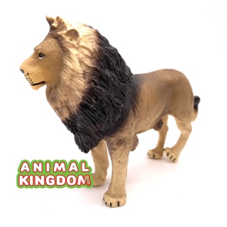 Animal Kingdom - โมเดลสัตว์ พ่อสิงโต ขนาด 13.50 CM (จากหาดใหญ่)