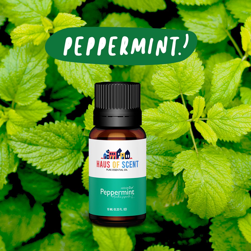 น้ำมันหอมระเหย-เปปเปอร์มินต์-10-ml-pure-peppermint-essential-oil-น้ำมันอโรม่า-น้ำมันหอมใส่เครื่องพ่นอโรม่า