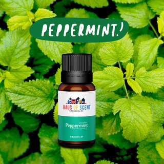 น้ำมันหอมระเหย แท้ 10 ml.-30 ml (PEPPERMINT Essential Oil) - เปปเปอร์มินต์- น้ำมันอโรม่า น้ำมันใส่เครื่องพ่น