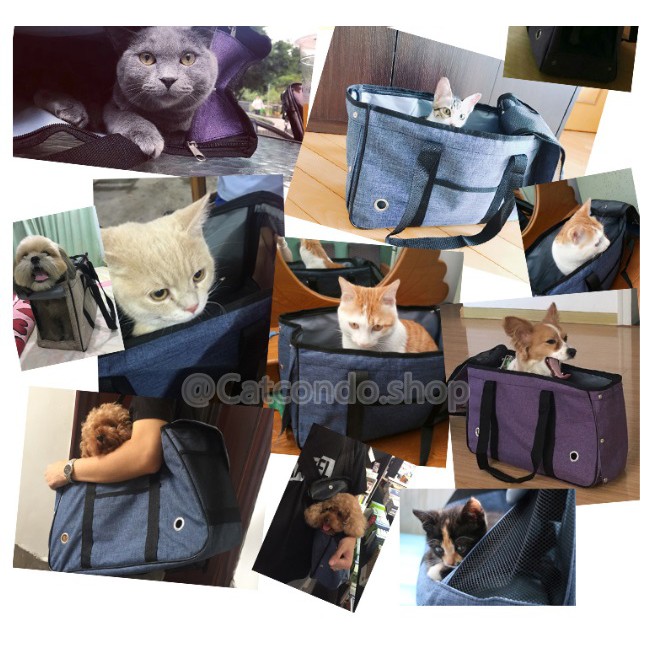 ภาพสินค้า️กระเป๋าใส่แมว กระเป๋าใส่สุนัข กระเป๋าสัตว์เลี้ยง กระเป๋าแมว ️ จากร้าน ratimapeem บน Shopee ภาพที่ 3