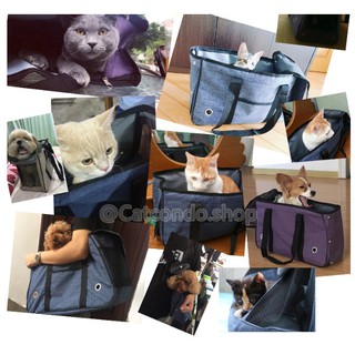 ภาพขนาดย่อของภาพหน้าปกสินค้า️กระเป๋าใส่แมว กระเป๋าใส่สุนัข กระเป๋าสัตว์เลี้ยง กระเป๋าแมว ️ จากร้าน ratimapeem บน Shopee ภาพที่ 3