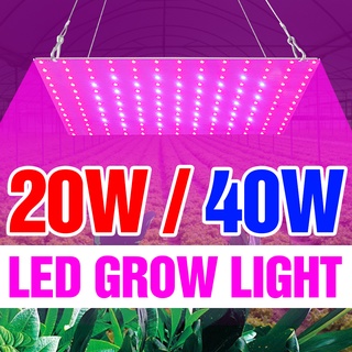 สินค้า โคมไฟ LED 20W ฟูลสเปกตรัม 40W 110V ไฮโดรโปนิก 220V สําหรับปลูกพืชในร่ม