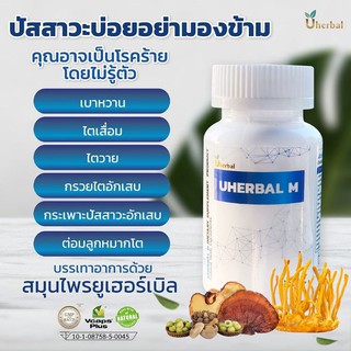 ภาพขนาดย่อของภาพหน้าปกสินค้าUherbal สมุนไพรดูแลระบบปัสสาวะ จากร้าน uherbal บน Shopee ภาพที่ 2