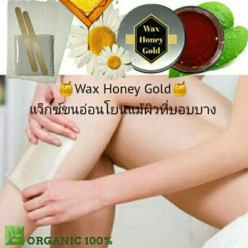 wax-honey-gold-แว็ก-wax-แว็กซ์-แว๊กขน-แว็กซ์กำจัดขน-wax-ขน-อุปกรณ์แว็กซ์ขน