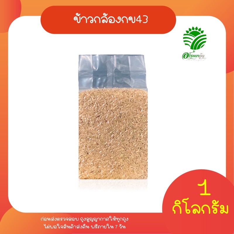 ภาพหน้าปกสินค้า*ค่าส่ง *ข้าวกล้องกข43 น้ำตาลต่ำที่สุด 1 กก. ปลอดสาร สยามนิยม จากร้าน siamniyomrice บน Shopee