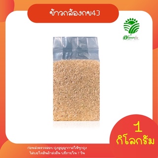 ภาพขนาดย่อของภาพหน้าปกสินค้า*ค่าส่ง *ข้าวกล้องกข43 น้ำตาลต่ำที่สุด 1 กก. ปลอดสาร สยามนิยม จากร้าน siamniyomrice บน Shopee