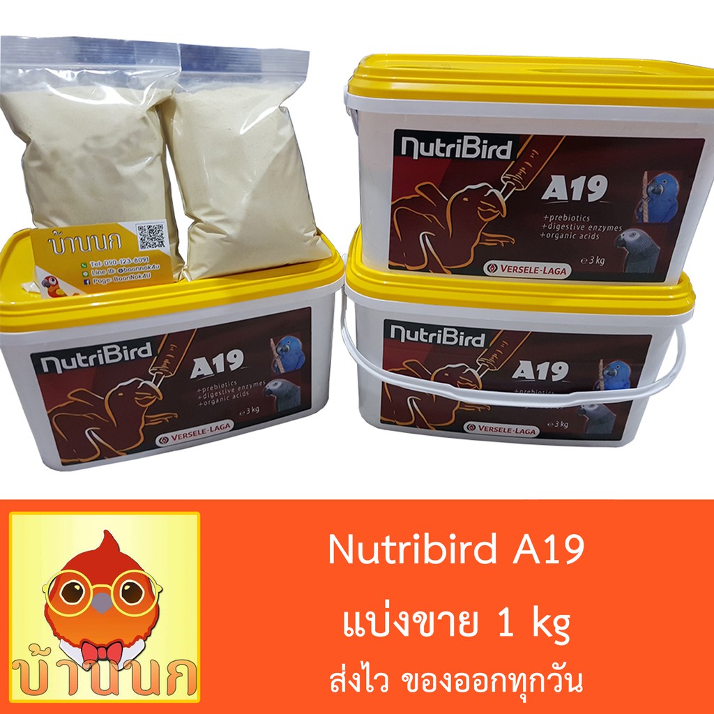 nutribird-a19-อาหารนกลูกป้อน-สำหรับลูกนกที่ต้องการพลังงานไขมันสูง-แบบแบ่งชั่ง-1-kg
