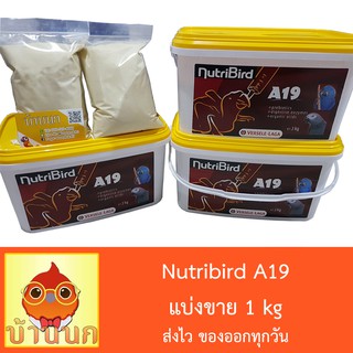 Nutribird A19 อาหารนกลูกป้อน สำหรับลูกนกที่ต้องการพลังงานไขมันสูง แบบแบ่งชั่ง 1 kg
