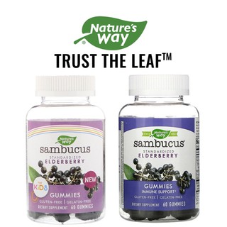 ภาพขนาดย่อของสินค้าNature's Way, Sambucus Gummies Standardized Elderberry, 60 Gummies