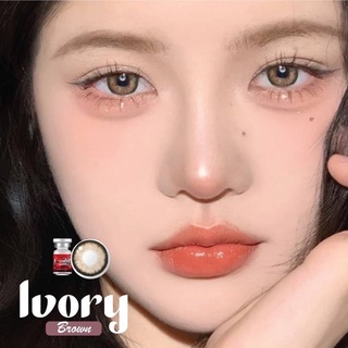 ✨ Ivory brown(Lovely lens) ขนาดตาโต ✔️เลนส์จดทะเบียนถูกต้อง (บิ๊กอาย คอนแทคเลนส์ bigeyes)