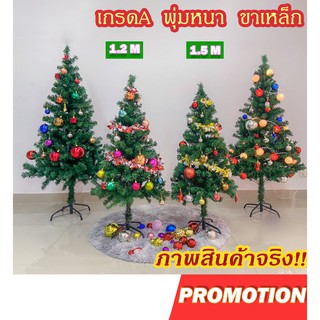 ภาพขนาดย่อของภาพหน้าปกสินค้าต้นคริสต์มาส เกรด A พุ่มหนา ขาเหล็ก 1.2 / 1.5 ม. ((Christmas tree)) จากร้าน th_154766654 บน Shopee