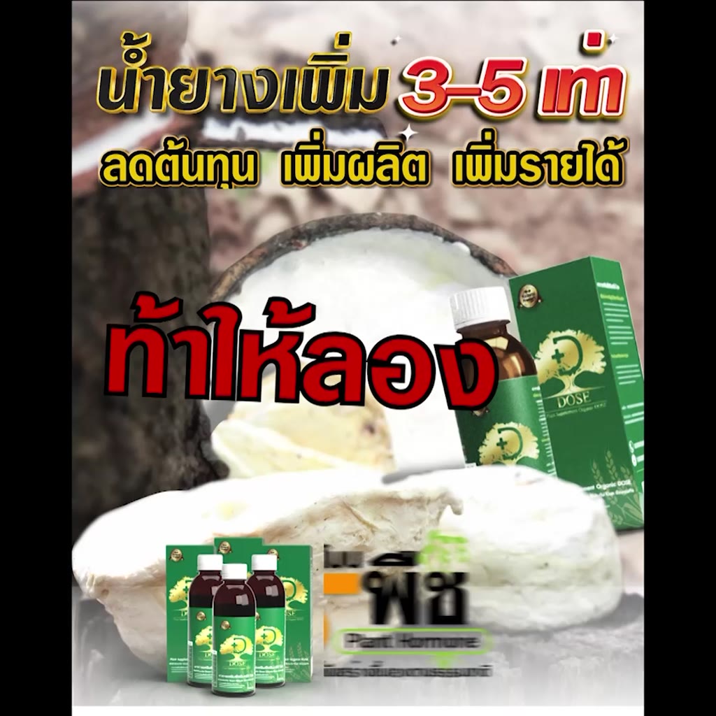 dose-อาหารเสริมพืช-สินค้าเกษตรพรีเมี่ยม-น้ำยางดี-น้ำยางไหลดี-ผลผลิตดี-แก้หน้ายางตายนึ่ง-เชื้อรา