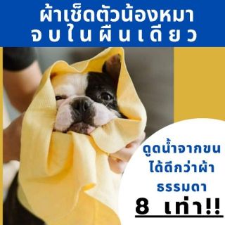 แห้งไว คุณหมอแนะนำ Pet Dry ผ้าเช็ดตัวสัตว์เลี้ยงผืนเดียวอยู่ ซับน้ำดีมาก ผ้าเช็ดตัวหมา ผ้าเช็ดตัวแมว