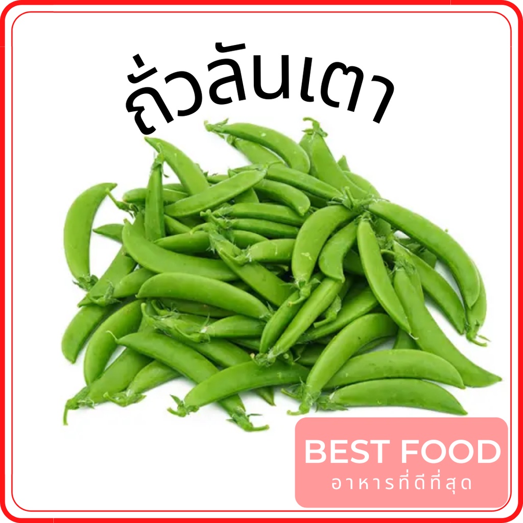 ถั่วลันเตา-pisum-sativum