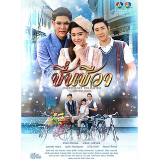 ชื่นชีวา (15 ตอนจบ) แผ่น dvd ดีวีดี