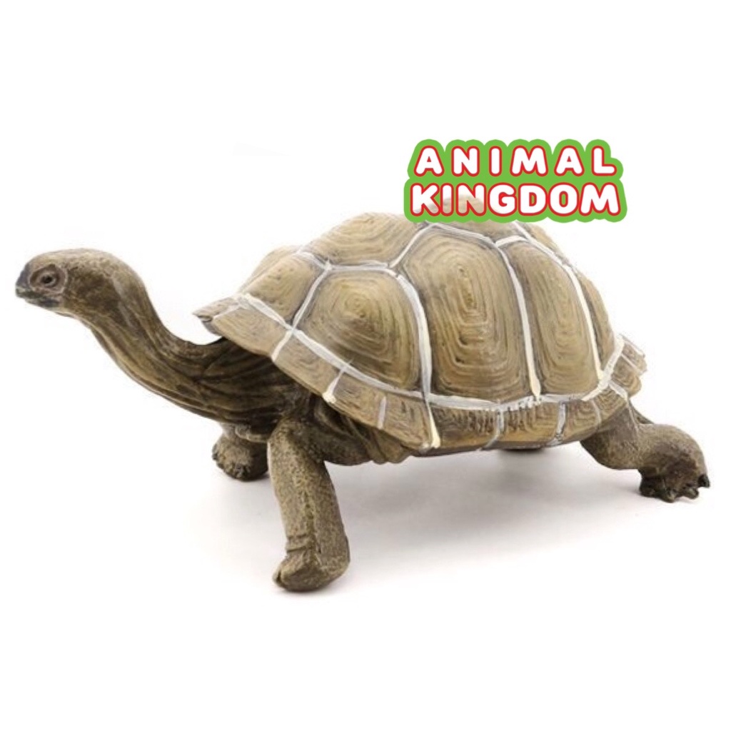 animal-kingdom-โมเดลสัตว์-เต่ายักษ์-กาลาปาโกส-เขียว-ขนาด-21-00-cm-จากสงขลา