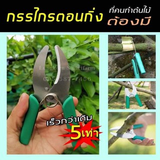 ภาพขนาดย่อของภาพหน้าปกสินค้ากรรไกรตอนกิ่งไม้ รวดเร็วกว่า 5 เท่า จากร้าน lungkornfarm บน Shopee