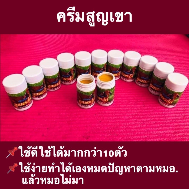 ครีมป้ายเขา-ครีมสูญเขา-ขนาด-50-กรัม-ลูกพระโค-ใช้กับลูกโคอายุ7-45วัน