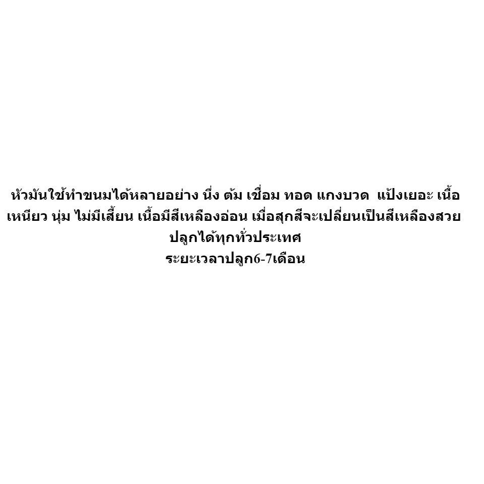 พันธุ์มันห้านาทีเหลืองพิรุณ-พันธุ์มันห้านาที-มัน5นาที-ท่อนพันธุ์-พร้อมปลูก-5-ท่อน-เนื้อสีเหลืองปุยสำลี-seeds