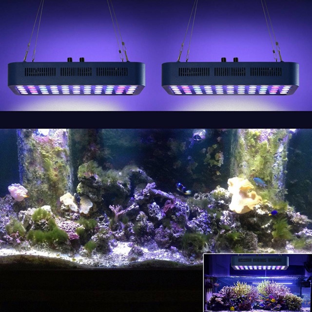 ภาพสินค้าไฟเลี้ยงปลาทะเล และปะการัง เลี้ยงต้นไม้ LED Full spectrum 165w ปรับแสงได้ เลือก Channel ได้ จากร้าน pp.aqua บน Shopee ภาพที่ 8