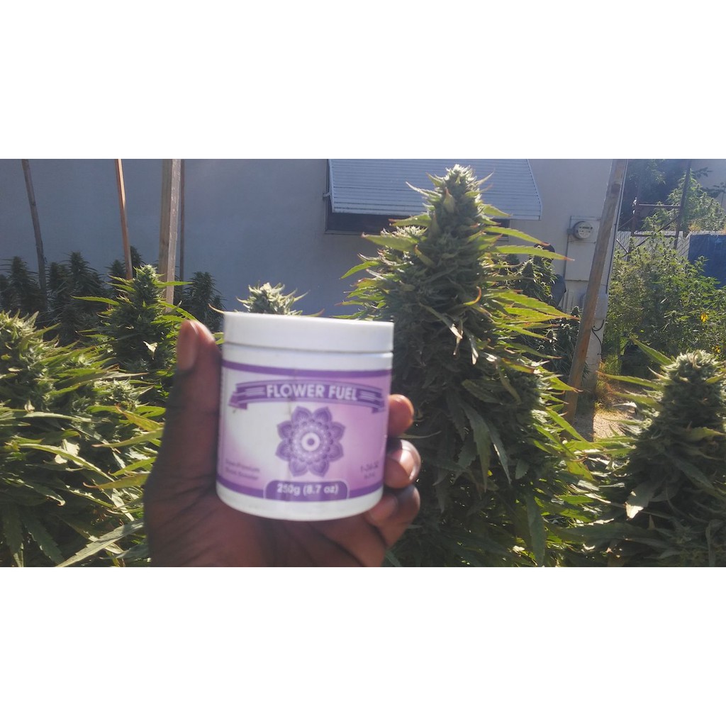 Flower Fuel ปุ๋ย บำรุงดอก 250g. ของแท้ 100 ผง เร่งดอก ทำดอก เร่งโต ขยายดอก Super Premium Bloom