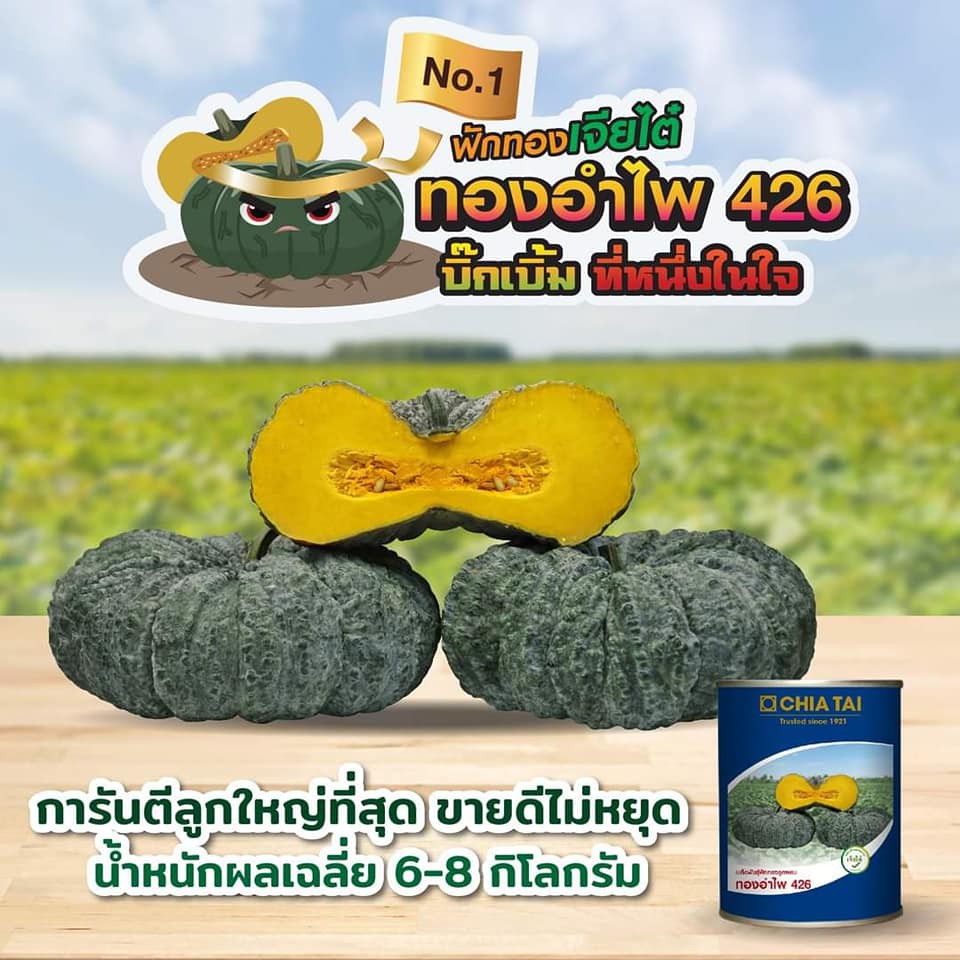 เมล็ดพันธุ์ฟักทองอำไพ-426-ขนาด-100-กรัม