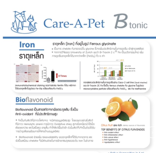 btonic-care-a-pet-ขนาด-100-มล-หมดอายุ-09-24-อาหารเสริมในรูปของเหลว-บำรุงเลือด-ต้านอนุมูลอิสระ-และเสริมภูมิต้านทาน