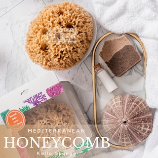 สินค้า KALLA SPONGE ฟองน้ำธรรมชาติ ชนิด Honeycomb สีน้ำตาล สำหรับอาบน้ำเด็ก (FREE EMS!!)