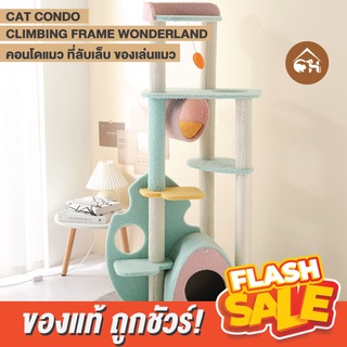 🔥ถูกสุด! พร้อมส่ง🔥 CAT CONDO CLIMBING FRAME WODERLAND คอนโดแมว ที่นอน ที่ลับเล็บ ของเล่นแมว